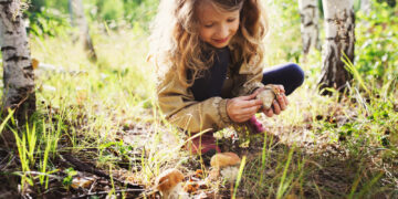 Jak mądrze dbać o przyrodę i od czego zacząć? Trwają zapisy przedszkoli i szkół do XII edycji programu „Kubusiowi Przyjaciele Natury”
