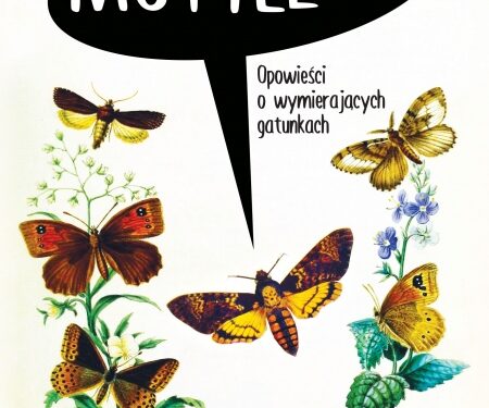 Motyle