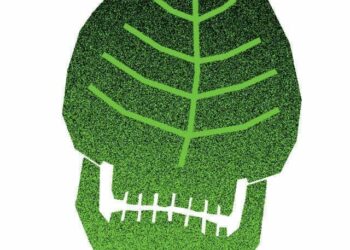 Ekologia na WAMA Film Festival