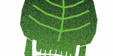 Ekologia na WAMA Film Festival