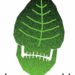 Ekologia na WAMA Film Festival