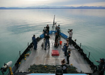 Ekologiczny thriller „Zatoka cieni” wyprodukowany przez Leonardo DiCaprio w grudniu na kanale National Geographic