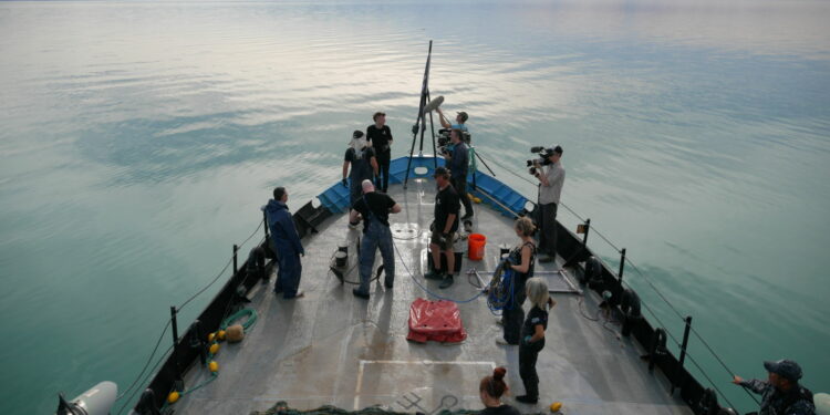 Ekologiczny thriller „Zatoka cieni” wyprodukowany przez Leonardo DiCaprio w grudniu na kanale National Geographic