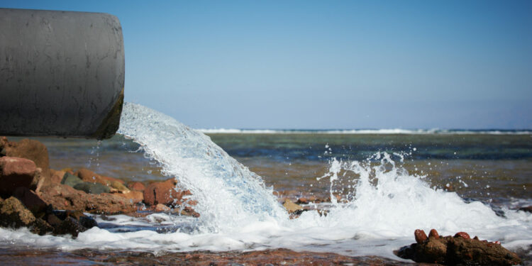 Zdaniem dwóch trzecich szefów firm natychmiastowe działania złagodzą skutki zmian klimatu