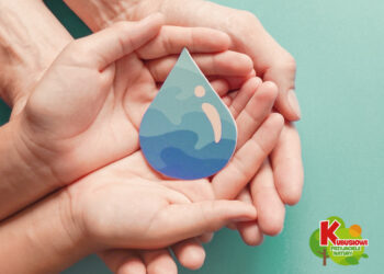 Domowa ekonologia, czyli proste rady, jak dbać o środowisko, a przy tym oszczędzać