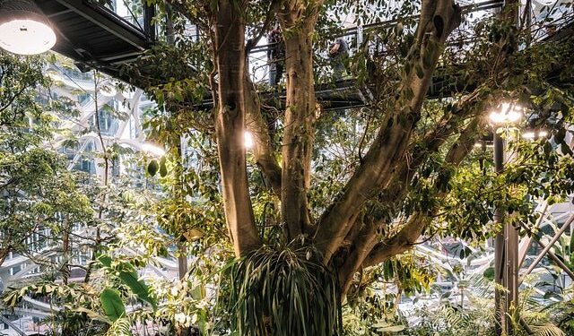 Wiesz czym są ogrody deszczowe? Powiemy Ci dlaczego są one ważne dla naszego ekosystemu!