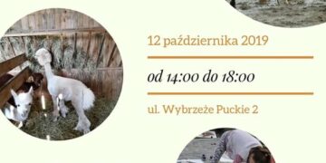 Piknik Rodzinny 12 X – Fundacja Pociechom