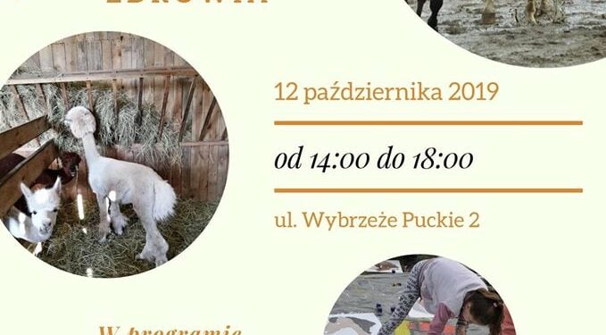 Piknik Rodzinny 12 X – Fundacja Pociechom