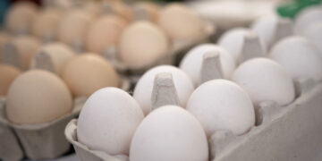 70 proc. Polaków woli kupować jaja z wolnego wybiegu