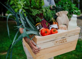Pora na Pola z kolejną emisją akcji na Beesfundzie