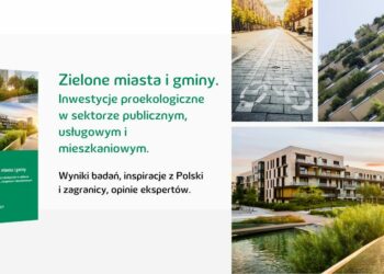 Polacy są gotowi na ponoszenie kosztów zmian klimatycznych, ale oczekują zaangażowania władz i biznesu
