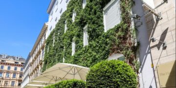 Wiedeń finansuje zazielenianie fasad, dachów i dziedzińców. Tak walczy ze zmianami klimatycznymi