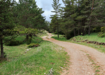 Okrągły Stół dla Edukacji Klimatycznej