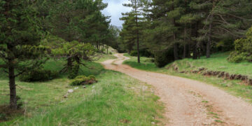 Okrągły Stół dla Edukacji Klimatycznej