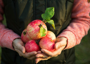 Czym charakteryzuje się rolnictwo ekologiczne prowadzone z myślą o najmłodszych