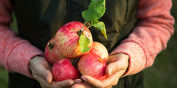 Czym charakteryzuje się rolnictwo ekologiczne prowadzone z myślą o najmłodszych