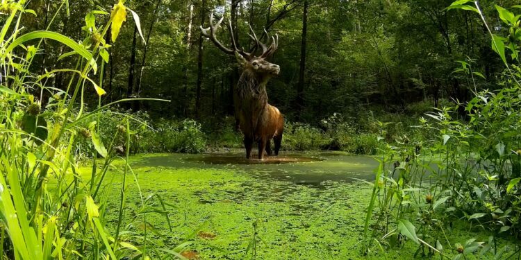 Wakacje na łonie natury. Jak obserwować świat przyrody z dziećmi, radzi przyrodnik Marcin Kostrzyński