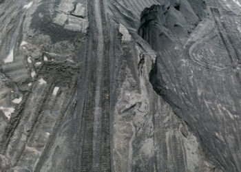 Transformacja klimatyczna oznacza dla banków ogromne możliwości biznesowe