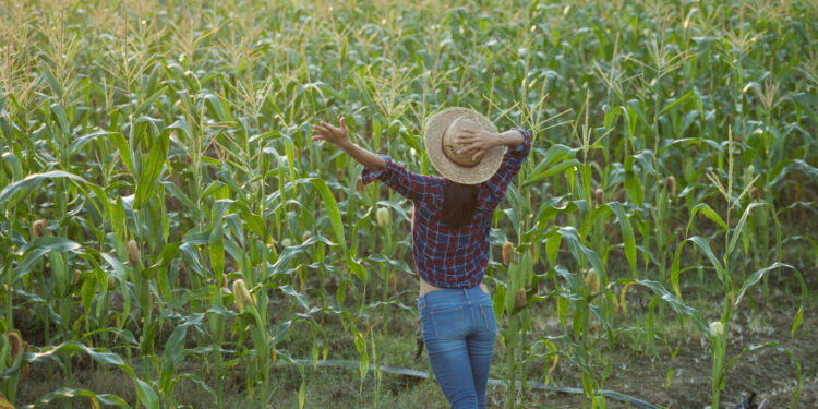 BIO PLANET – lider ekologicznej żywności debiutuje na Głównym Rynku GPW