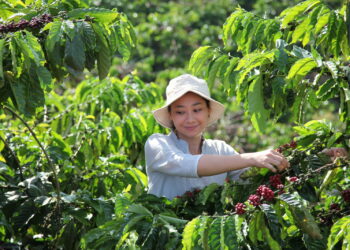 Nestlé uruchamia NESCAFÉ Plan 2030, aby pomóc w rozwoju rolnictwa regeneracyjnego, zmniejszeniu emisji gazów cieplarnianych i poprawie poziomu życia rolników