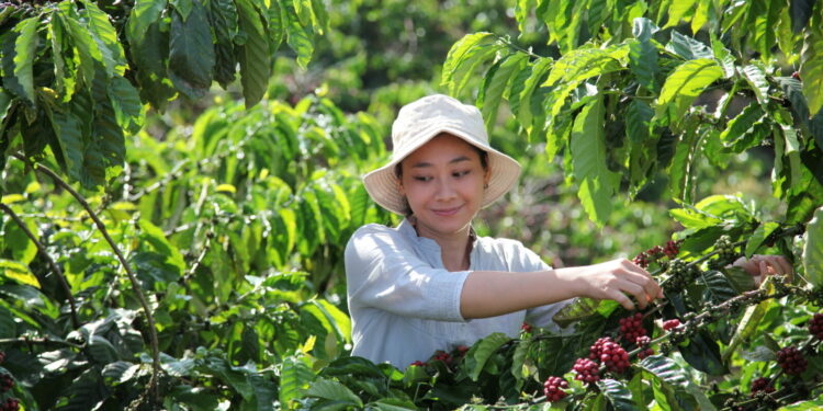 Nestlé uruchamia NESCAFÉ Plan 2030, aby pomóc w rozwoju rolnictwa regeneracyjnego, zmniejszeniu emisji gazów cieplarnianych i poprawie poziomu życia rolników