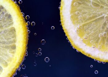 Nowe i proekologiczne rozwiązania z dziedziny żywienia