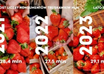 Jedliśmy więcej truskawek w każdym kolejnym miesiącu sezonu – Kantar 2023