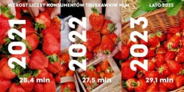 Jedliśmy więcej truskawek w każdym kolejnym miesiącu sezonu – Kantar 2023