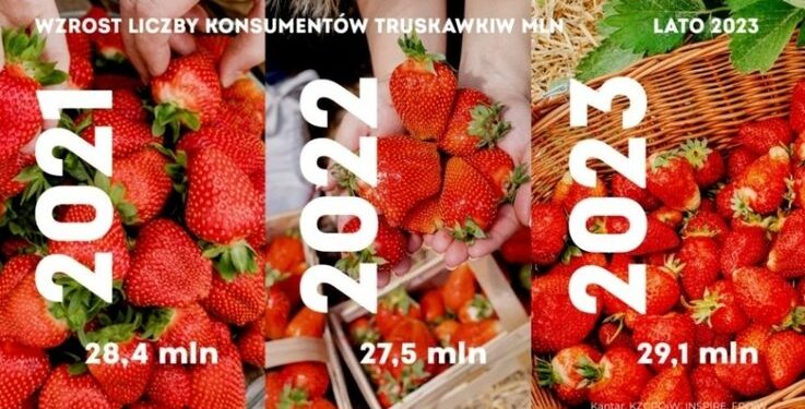 Jedliśmy więcej truskawek w każdym kolejnym miesiącu sezonu – Kantar 2023