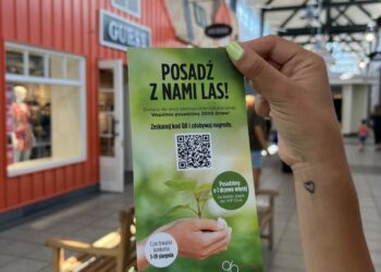 Ponad 10 500 drzew od centrów Designer Outlet!