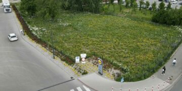 Coraz więcej łąk kwietnych przy sklepach Lidl Polska!